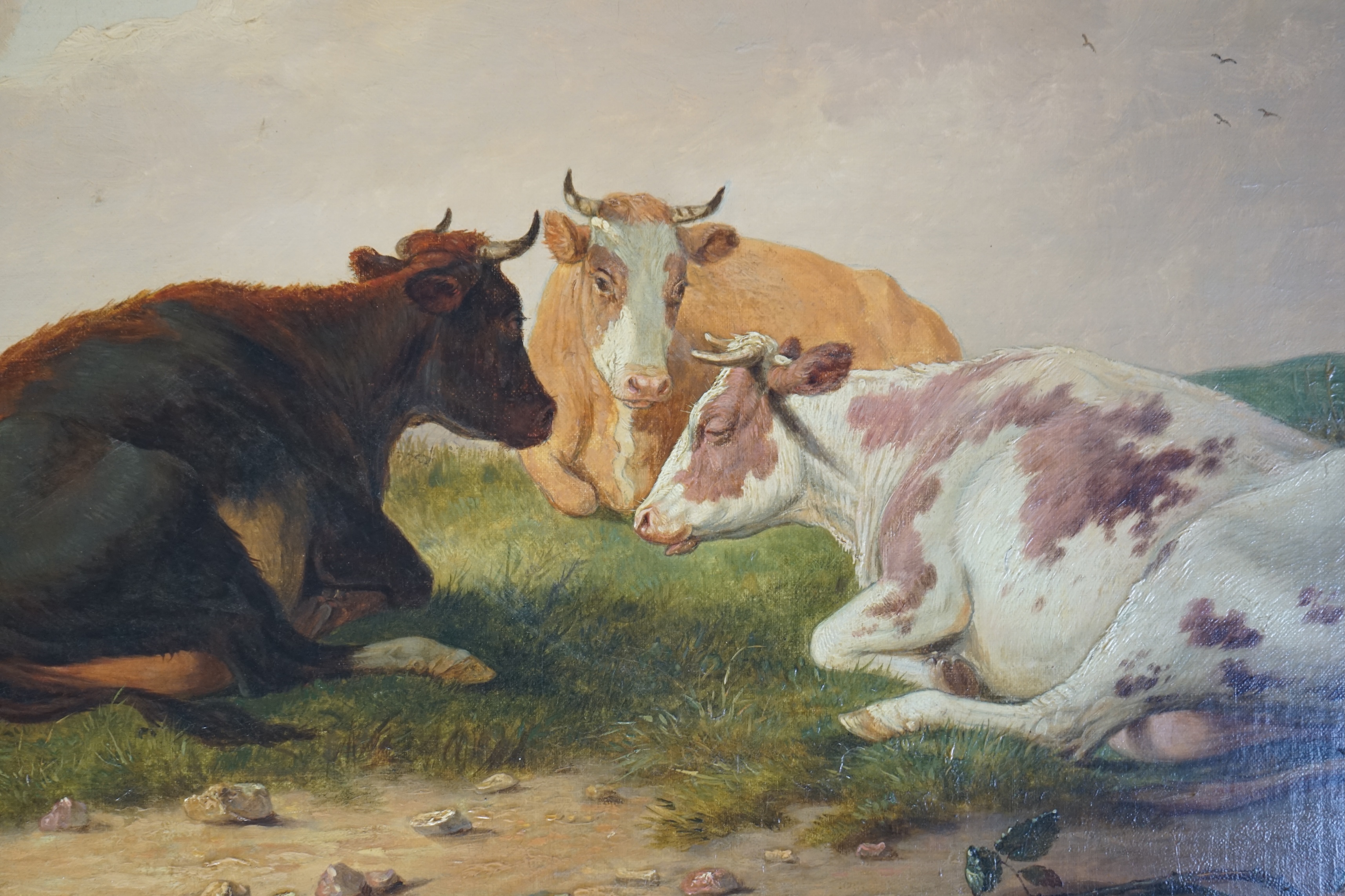 Thomas Sydney Cooper (English, 1803-1902), Cattle resting in a coastal meadow, oil on canvas, 50 x 71cm